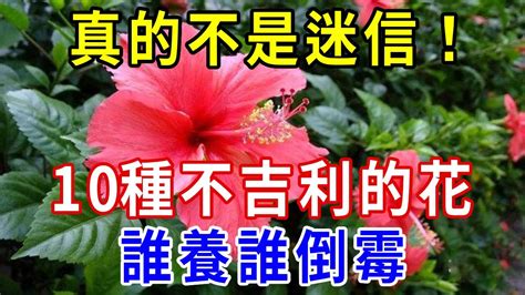 10種不吉利的花|10種「不吉利」的花，讓你家「霉運連連」，看看你家。